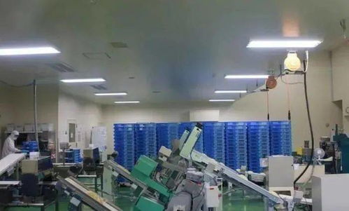 日本美食工廠 用美食開發旅游